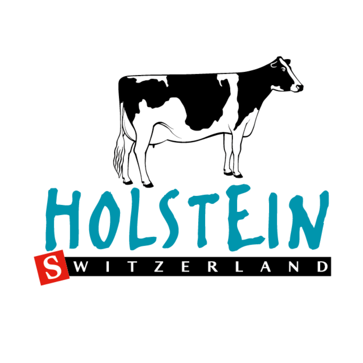 Holstein Switzerland